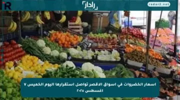 أسعار الخضروات في أسواق الأقصر تواصل استقرارها اليوم الخميس ٧ أغسطس ٢٠٢٥